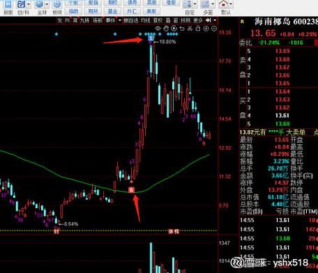 600238股票行情_海南椰岛最新走势分析-第1张图片-俊逸知识馆