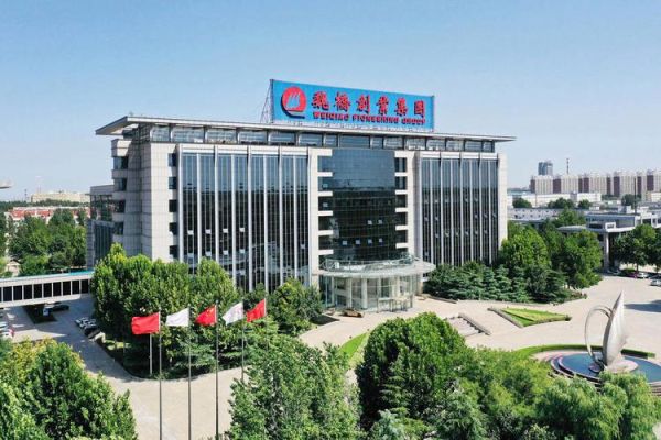 魏桥集团股票值得买吗_魏桥集团股票未来走势-第3张图片-俊逸知识馆 魏桥集团股票值得买吗_魏桥集团股票未来走势-第3张图片-俊逸知识馆