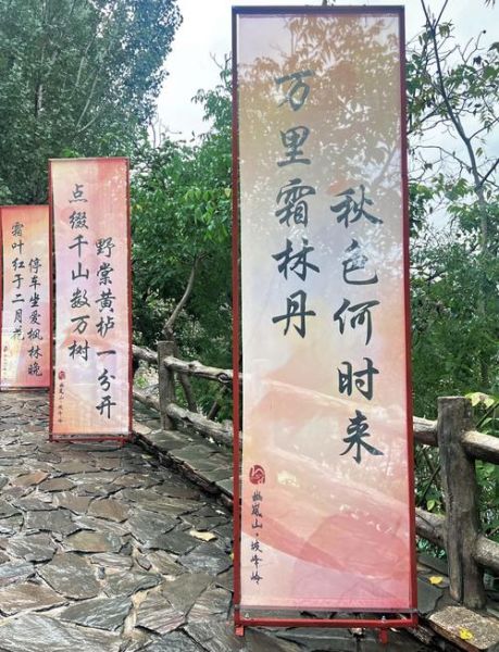 北京红叶什么时候最红_最佳观赏地点在哪-第1张图片-俊逸知识馆