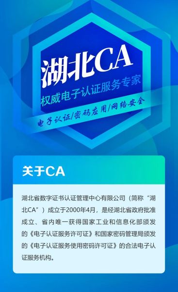 ca证书怎么申请_ca证书有什么用-第3张图片-俊逸知识馆
