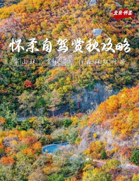 北京秋天哪里最美_北京秋天旅游攻略-第2张图片-俊逸知识馆