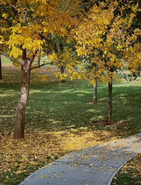 北京秋天哪里最美_北京秋天旅游攻略-第3张图片-俊逸知识馆