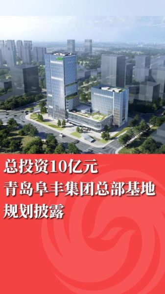 阜丰集团股票值得长期持有吗_阜丰集团股票未来走势如何-第2张图片-俊逸知识馆