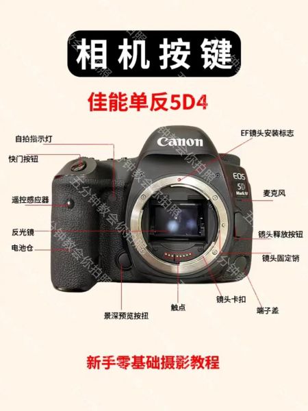 5d4拍视频怎么样_佳能5d4视频拍摄技巧-第1张图片-俊逸知识馆 5d4拍视频怎么样_佳能5d4视频拍摄技巧-第1张图片-俊逸知识馆