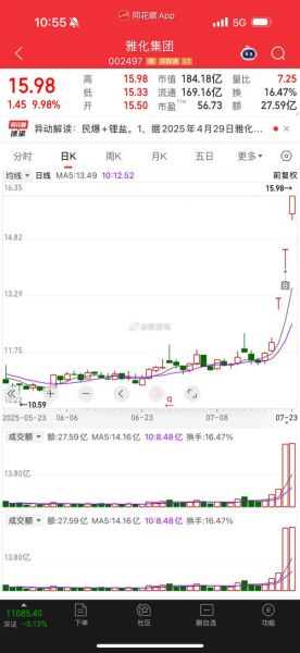 雅化集团股票怎么样_雅化集团值得长期持有吗-第1张图片-俊逸知识馆