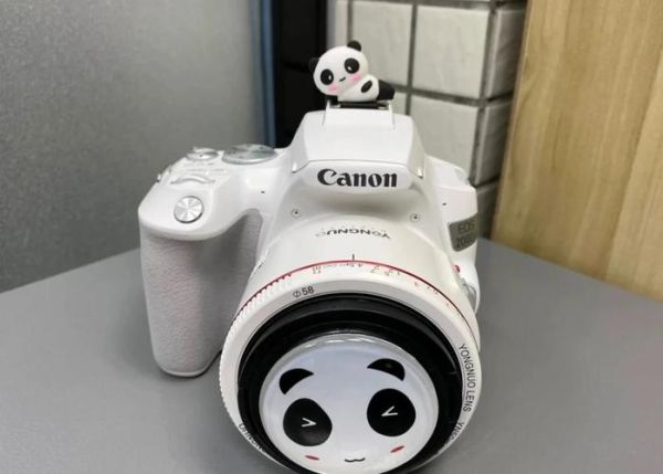 佳能200d二代怎么样_值得入手吗-第3张图片-俊逸知识馆 佳能200d二代怎么样_值得入手吗-第3张图片-俊逸知识馆