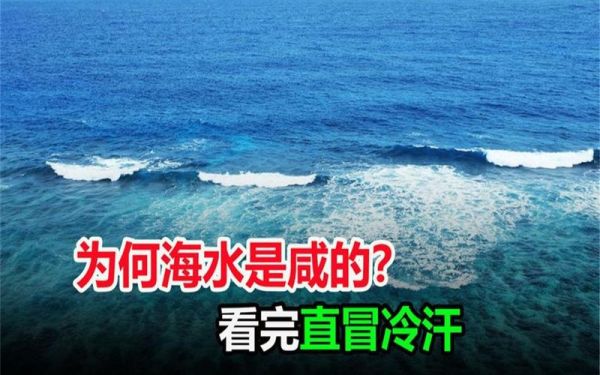 海水喝了会怎么样_喝海水后身体反应-第3张图片-俊逸知识馆 海水喝了会怎么样_喝海水后身体反应-第3张图片-俊逸知识馆