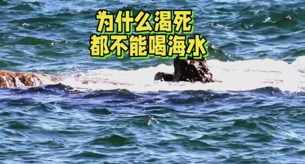 海水喝了会怎么样_喝海水后身体反应-第2张图片-俊逸知识馆 海水喝了会怎么样_喝海水后身体反应-第2张图片-俊逸知识馆
