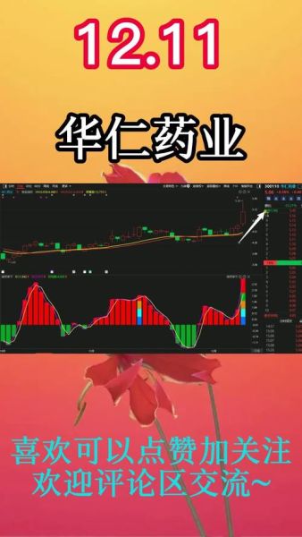 华仁药业股票值得买吗_华仁药业未来前景如何-第2张图片-俊逸知识馆 华仁药业股票值得买吗_华仁药业未来前景如何-第2张图片-俊逸知识馆