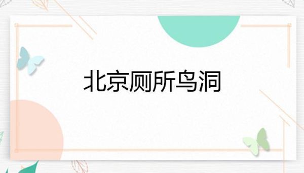 北京鸟洞在哪里_北京鸟洞怎么去-第3张图片-俊逸知识馆 北京鸟洞在哪里_北京鸟洞怎么去-第3张图片-俊逸知识馆