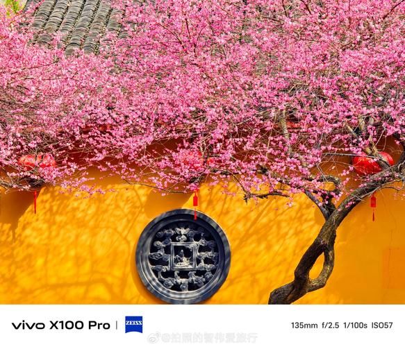 vivo手机拍照怎么样_vivo手机拍照真实效果好吗-第3张图片-俊逸知识馆 vivo手机拍照怎么样_vivo手机拍照真实效果好吗-第3张图片-俊逸知识馆