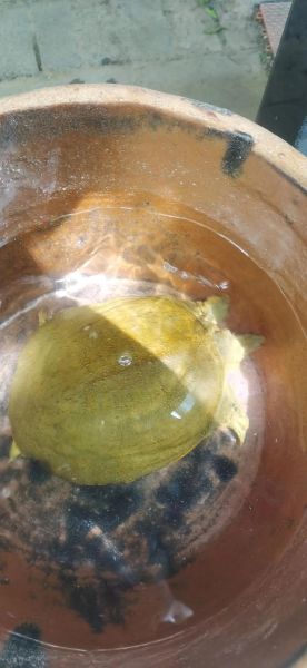 快活林怎么样_快活林值得去吗-第2张图片-俊逸知识馆 快活林怎么样_快活林值得去吗-第2张图片-俊逸知识馆