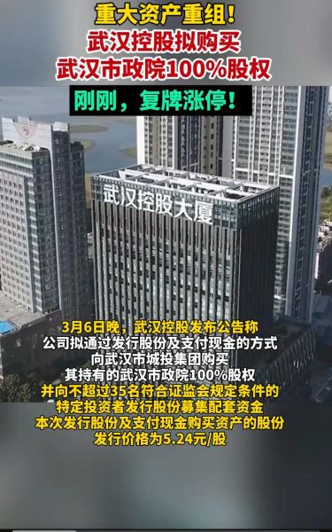 武汉控股股票怎么样_武汉控股股票值得买吗-第3张图片-俊逸知识馆