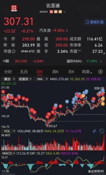 比亚迪股票还能买吗_2024年走势预测-第3张图片-俊逸知识馆