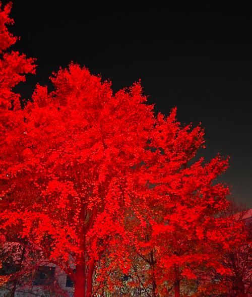 北京深秋的晚上穿什么_北京深秋夜游路线推荐-第2张图片-俊逸知识馆 北京深秋的晚上穿什么_北京深秋夜游路线推荐-第2张图片-俊逸知识馆