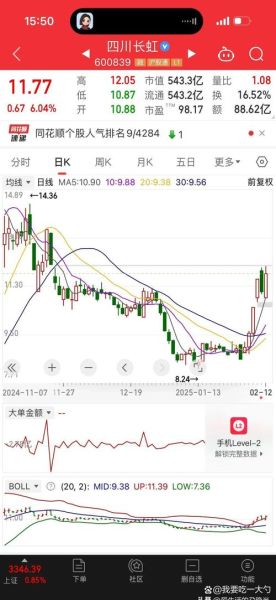 司尔特股票怎么样_司尔特股票未来走势-第3张图片-俊逸知识馆
