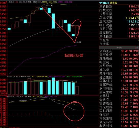 英博尔股票值得长期持有吗_英博尔股票未来走势分析-第1张图片-俊逸知识馆 英博尔股票值得长期持有吗_英博尔股票未来走势分析-第1张图片-俊逸知识馆