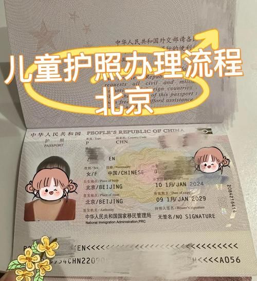 北京办护照需要哪些材料_北京护照办理流程-第2张图片-俊逸知识馆