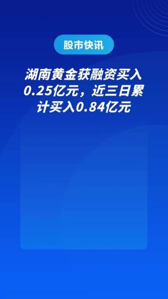 湖南黄金股票怎么样_湖南黄金股票值得长期持有吗-第2张图片-俊逸知识馆