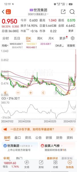 世茂集团股票怎么样_世茂集团股票还能买吗-第2张图片-俊逸知识馆