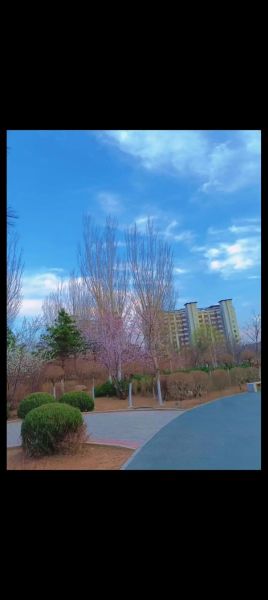 北京朝阳区今天穿什么_朝阳区实时天气如何-第2张图片-俊逸知识馆 北京朝阳区今天穿什么_朝阳区实时天气如何-第2张图片-俊逸知识馆