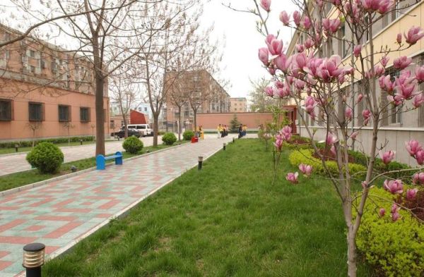 北京光明小学怎么样_北京光明小学招生条件-第2张图片-俊逸知识馆 北京光明小学怎么样_北京光明小学招生条件-第2张图片-俊逸知识馆