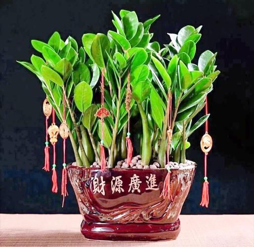 招财宝怎么样_招财宝安全吗-第3张图片-俊逸知识馆