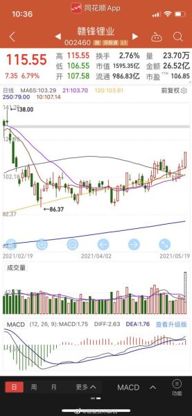002460股票怎么样_赣锋锂业未来走势分析-第2张图片-俊逸知识馆