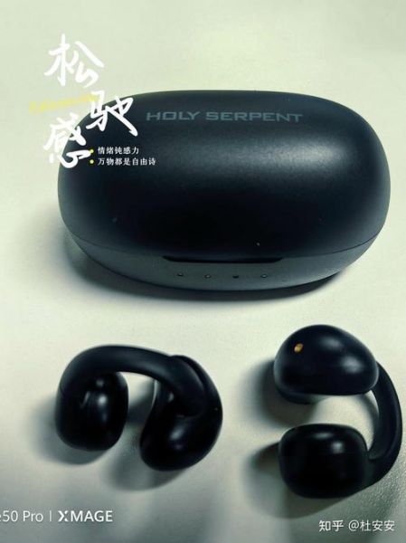 蛇圣耳机怎么样_蛇圣耳机值得买吗-第1张图片-俊逸知识馆