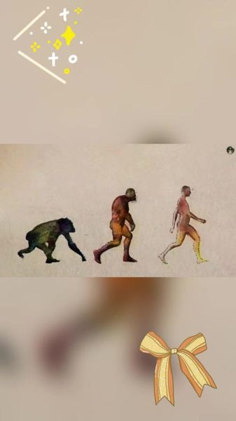 未来人类会进化成什么样_人类未来进化方向-第1张图片-俊逸知识馆 未来人类会进化成什么样_人类未来进化方向-第1张图片-俊逸知识馆