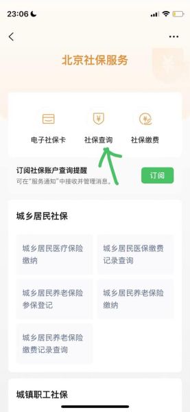 北京社保服务平台登录不了怎么办_北京社保个人缴费记录怎么查-第1张图片-俊逸知识馆