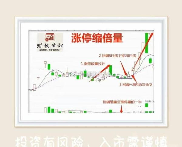 300111股票今日行情_向日葵股价走势怎么看-第2张图片-俊逸知识馆 300111股票今日行情_向日葵股价走势怎么看-第2张图片-俊逸知识馆