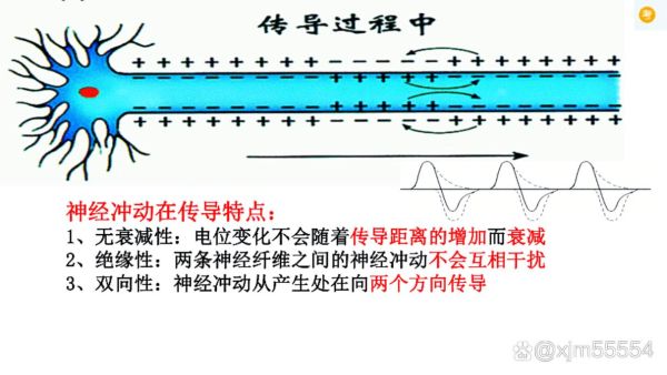 电信号是什么_电信号怎么传输-第2张图片-俊逸知识馆