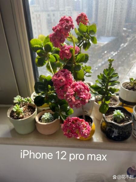 小米6拍照怎么样_小米6拍照评测-第1张图片-俊逸知识馆