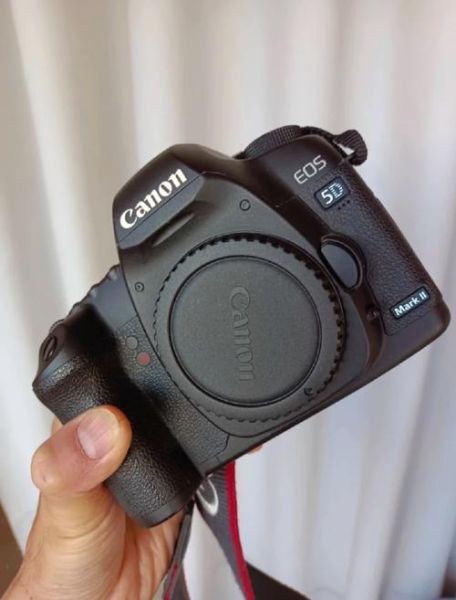 5d2怎么样_佳能5d2值得买吗-第1张图片-俊逸知识馆