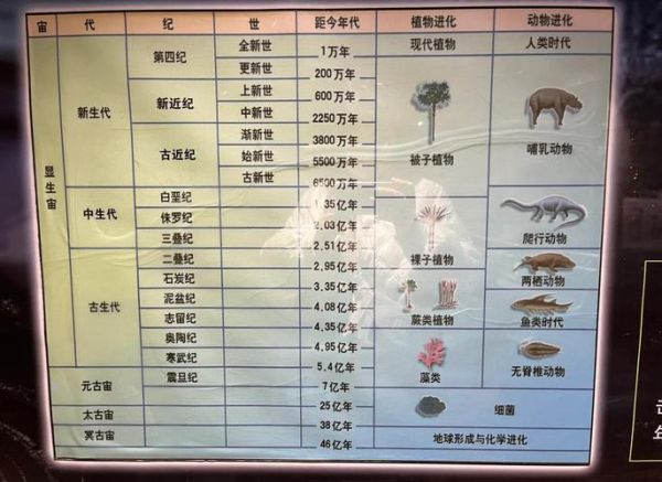 北京自然博物馆门票多少钱_开放时间-第2张图片-俊逸知识馆