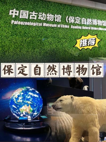 北京自然博物馆门票多少钱_开放时间-第3张图片-俊逸知识馆