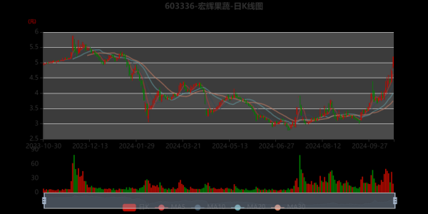 宏辉果蔬股票值得买吗_宏辉果蔬股票未来走势-第1张图片-俊逸知识馆