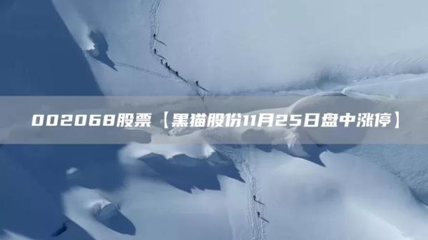 黑猫股票是什么_黑猫股票值得买吗-第1张图片-俊逸知识馆