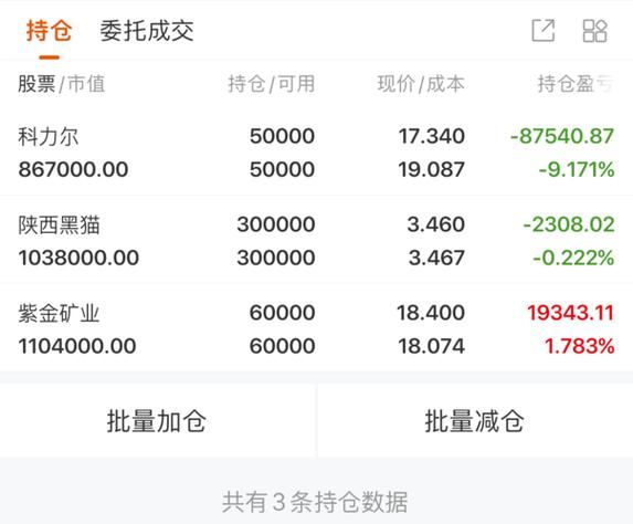 黑猫股票是什么_黑猫股票值得买吗-第2张图片-俊逸知识馆