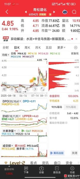 青松建化股票股吧_青松建化股票值得长期持有吗-第2张图片-俊逸知识馆