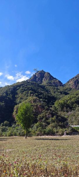 北京平谷未来15天天气怎么样_平谷穿衣指南-第3张图片-俊逸知识馆 北京平谷未来15天天气怎么样_平谷穿衣指南-第3张图片-俊逸知识馆