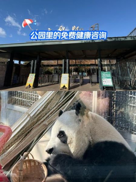 北京动物园天气_北京动物园适合穿什么衣服-第3张图片-俊逸知识馆 北京动物园天气_北京动物园适合穿什么衣服-第3张图片-俊逸知识馆