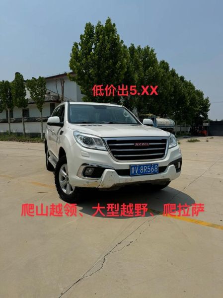 h9怎么样值得买吗_h9真实油耗是多少-第1张图片-俊逸知识馆